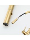 GAPPO Смеситель  для кухни с вытяжным изливом G4398-43 матовое золото