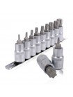 Набор TORX на планке 1/2", Т20-T70, 9 ед. INTERTOOL HT-1849
