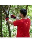 Ножівка садова вигнута 330 мм, з металевою ручкою, пластиковий чохол INTERTOOL HT-3146